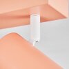 Javel Plafonnier, Spot de plafond Rose, Blanc, 2 lumières