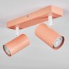 Javel Plafonnier, Spot de plafond Rose, Blanc, 2 lumières