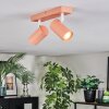 Javel Plafonnier, Spot de plafond Rose, Blanc, 2 lumières