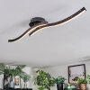 Arlan Plafonnier LED Noir, 1 lumière