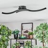 Arlan Plafonnier LED Noir, 1 lumière