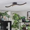 Arlan Plafonnier LED Noir, 1 lumière