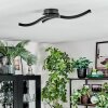 Arlan Plafonnier LED Noir, 1 lumière