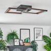 Binor Plafonnier LED Écru, Noir, 1 lumière
