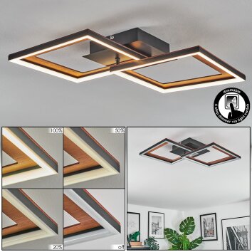 Binor Plafonnier LED Écru, Noir, 1 lumière