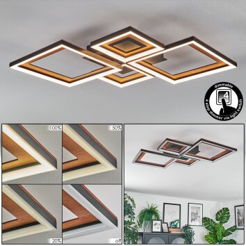 Binor Plafonnier LED Écru, Noir, 1 lumière