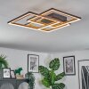 Binor Plafonnier LED Écru, Noir, 1 lumière