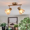 Saire Plafonnier, Spot de plafond Chrome, Laiton, 2 lumières