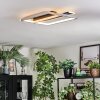 Olian Plafonnier LED Noir, Argenté, 1 lumière