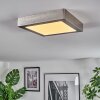 Omaro Plafonnier, Panel LED Nickel mat, 1 lumière, Changeur de couleurs