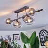 Chehalis Plafonnier, Boule lumineuse Clair, Fumé, 5 lumières