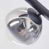 Chehalis Plafonnier, Boule lumineuse Clair, Fumé, 5 lumières