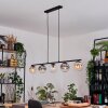Gastor Suspension, Boule lumineuse, Suspension Ambre, Clair, Fumé, 5 lumières