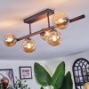 Chehalis Plafonnier, Boule lumineuse Ambre, 5 lumières