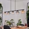 Koyoto Suspension, Boule lumineuse, Suspension Ambre, Clair, Fumé, 5 lumières