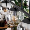 Koyoto Suspension, Boule lumineuse, Suspension Ambre, Clair, Fumé, 5 lumières
