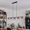 Ripoll Suspension, Boule lumineuse, Suspension Clair, Fumé, 5 lumières