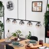 Ripoll Suspension, Boule lumineuse, Suspension Clair, Fumé, 5 lumières
