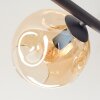 Ripoll Plafonnier, Boule lumineuse Ambre, Fumé, 5 lumières