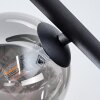 Chehalis Plafonnier, Boule lumineuse Fumé, 5 lumières