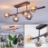 Chehalis Plafonnier, Boule lumineuse Ambre, Fumé, 5 lumières