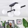 Chehalis Plafonnier, Boule lumineuse Blanc, 5 lumières
