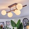 Chehalis Plafonnier, Boule lumineuse Blanc, 5 lumières