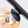 Chehalis Plafonnier, Boule lumineuse Noir, 5 lumières