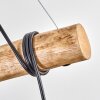 Ripoll Suspension, Boule lumineuse, Suspension Écru, Noir, 5 lumières