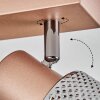 Nelar Plafonnier, Spot de plafond Bronze, Chrome, 3 lumières