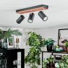 Orlan Plafonnier, Spot de plafond Chrome, Écru, Noir, 3 lumières