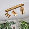 Javel Plafonnier, Spot de plafond Or, 3 lumières