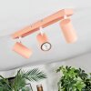 Javel Plafonnier, Spot de plafond Rose, Blanc, 3 lumières