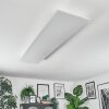 Orain Plafonnier, Panel LED Blanc, 1 lumière, Changeur de couleurs