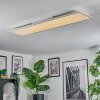 Orain Plafonnier, Panel LED Blanc, 1 lumière