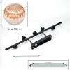 Chehalis Plafonnier, Boule lumineuse Noir, 5 lumières