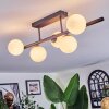 Chehalis Plafonnier, Boule lumineuse Noir, 5 lumières
