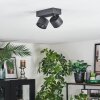 Narel Plafonnier, Spot de plafond LED Noir, 2 lumières