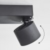 Narel Plafonnier, Spot de plafond LED Noir, 2 lumières