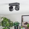 Narel Plafonnier, Spot de plafond LED Noir, 2 lumières
