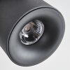 Narel Plafonnier, Spot de plafond LED Noir, 2 lumières