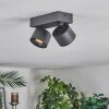 Narel Plafonnier, Spot de plafond LED Noir, 2 lumières