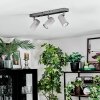 Javel Plafonnier, Spot de plafond Chrome, Gris, 3 lumières