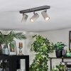 Javel Plafonnier, Spot de plafond Chrome, Gris, 3 lumières