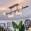Chehalis Plafonnier, Boule lumineuse Clair, 5 lumières
