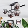 Chehalis Plafonnier, Boule lumineuse Fumé, 5 lumières