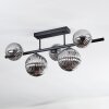 Chehalis Plafonnier, Boule lumineuse Fumé, 5 lumières
