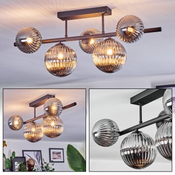Chehalis Plafonnier, Boule lumineuse Fumé, 5 lumières Chehalis Plafonnier, Boule lumineuse Fumé, 5 lumières