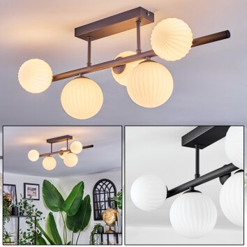 Chehalis Plafonnier, Boule lumineuse Blanc, 5 lumières