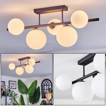 Chehalis Plafonnier, Boule lumineuse Blanc, 5 lumières